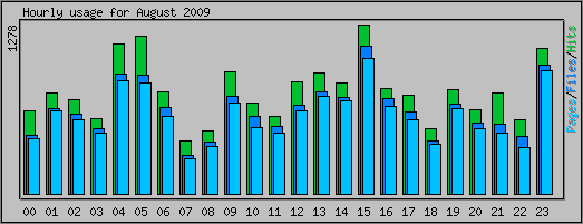 Hourly usage