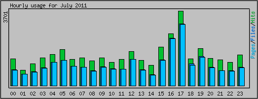 Hourly usage