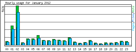 Hourly usage