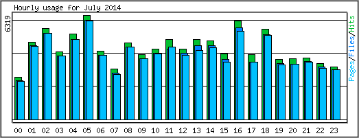 Hourly usage