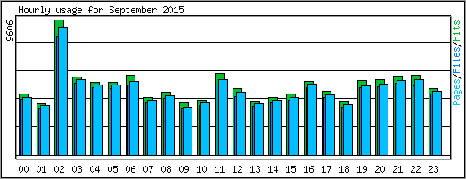 Hourly usage