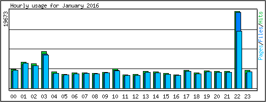 Hourly usage