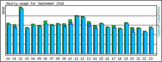 Hourly usage