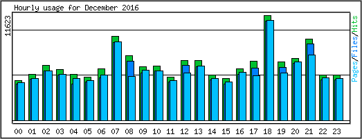 Hourly usage