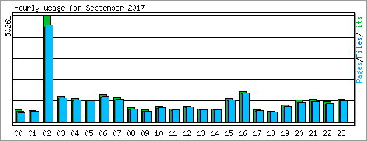 Hourly usage