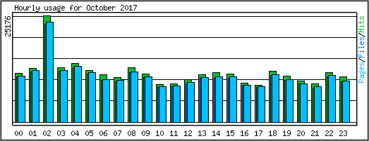 Hourly usage