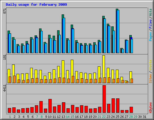 Daily usage for February 2009