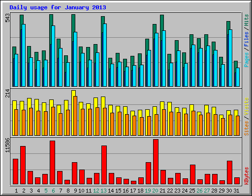 Daily usage for January 2013