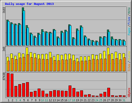 Daily usage for August 2013