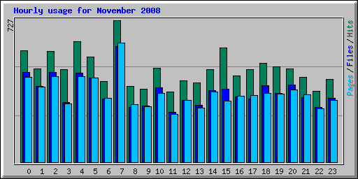 Hourly usage for November 2008