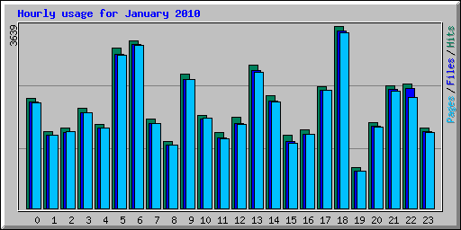 Hourly usage for January 2010