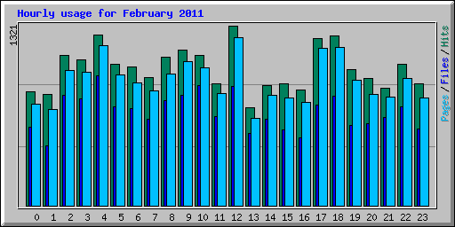 Hourly usage for February 2011