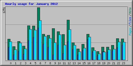 Hourly usage for January 2012