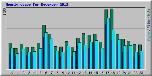 Hourly usage for December 2012