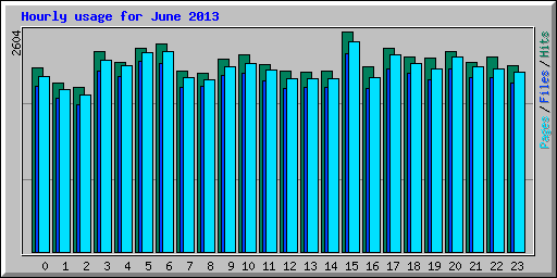 Hourly usage for June 2013