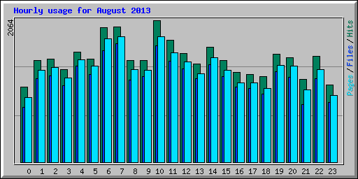 Hourly usage for August 2013