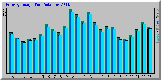 Hourly usage for October 2013