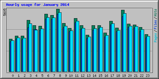 Hourly usage for January 2014