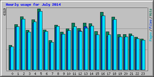 Hourly usage for July 2014