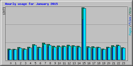 Hourly usage for January 2015