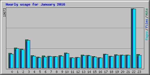 Hourly usage for January 2016