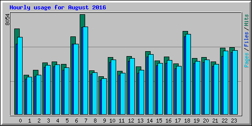 Hourly usage for August 2016