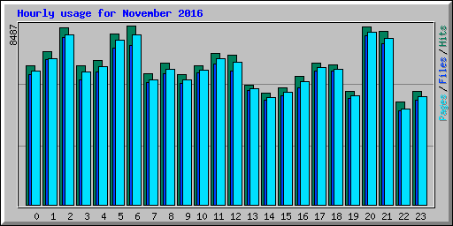 Hourly usage for November 2016