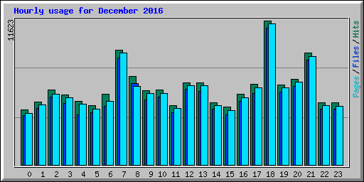 Hourly usage for December 2016